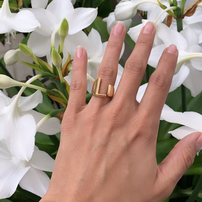 ANILLO INICIAL