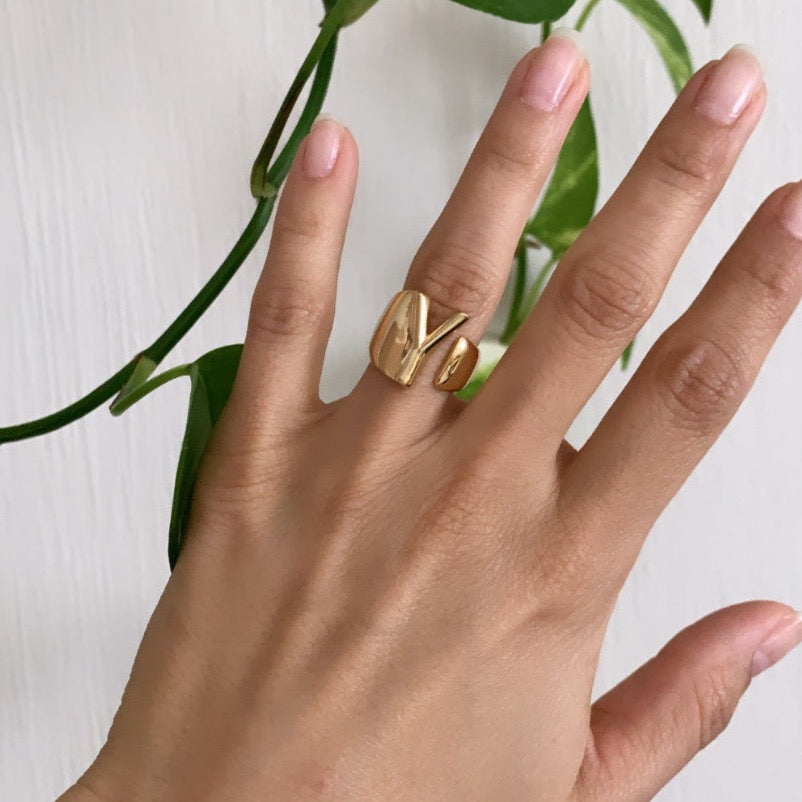 ANILLO INICIAL