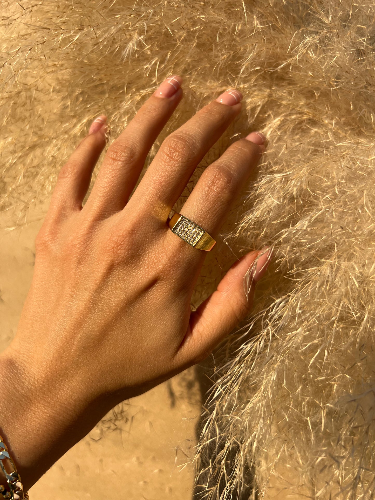 ANILLO SELLO