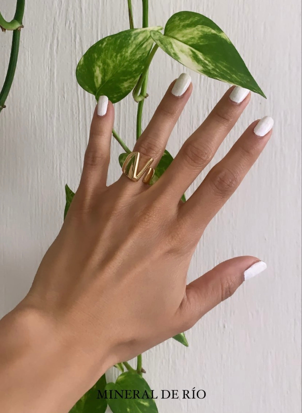 ANILLO INICIAL
