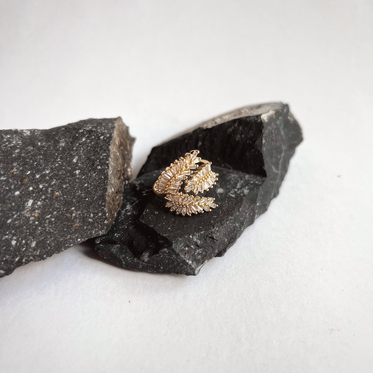 ANILLO CANET